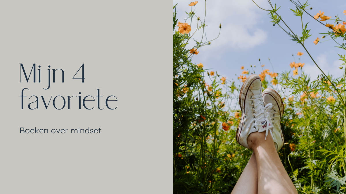 Lees meer over het artikel Mijn 4 favoriete boeken over mindset